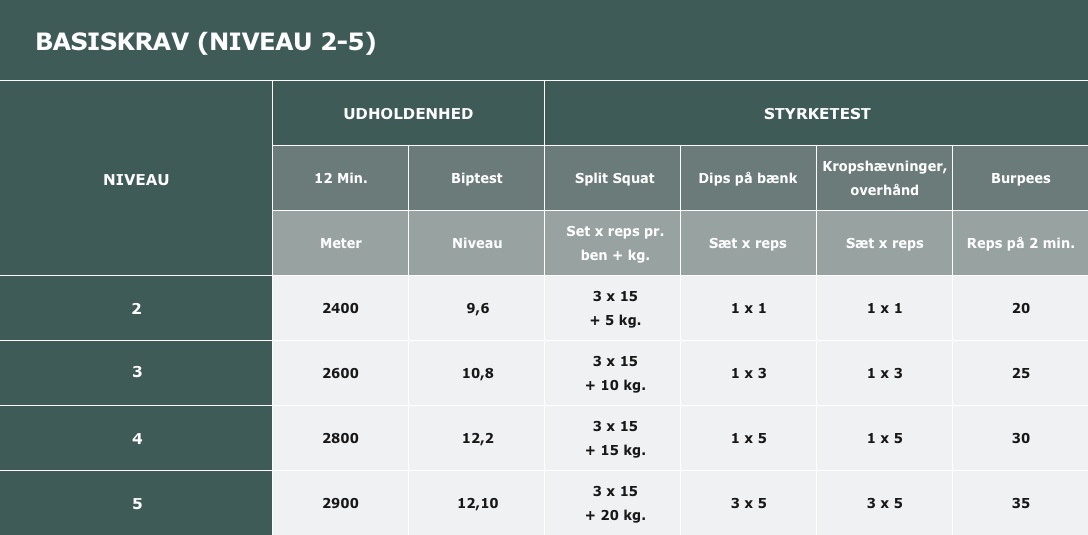Fysisk test niveau 2–5
